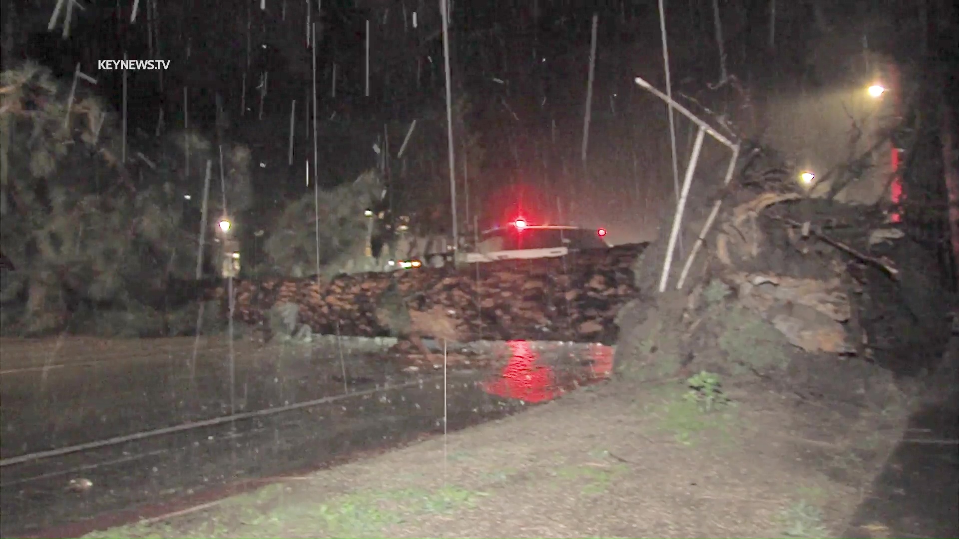 Large Tree Falls in Beverly Hills Blocking Roadway, Damages Fence